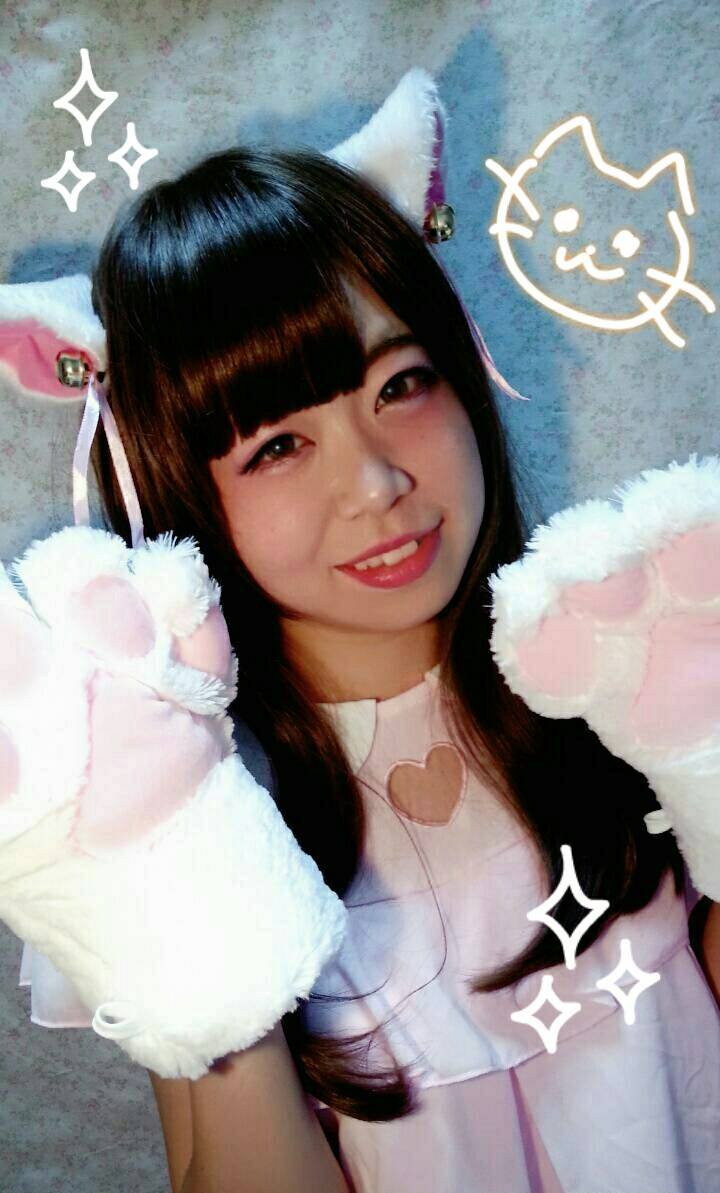 ねこの日でしたね！
