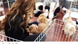 ♥ぁゅ♥ちゃんの2017/6/16 (金) 23:28のブログ