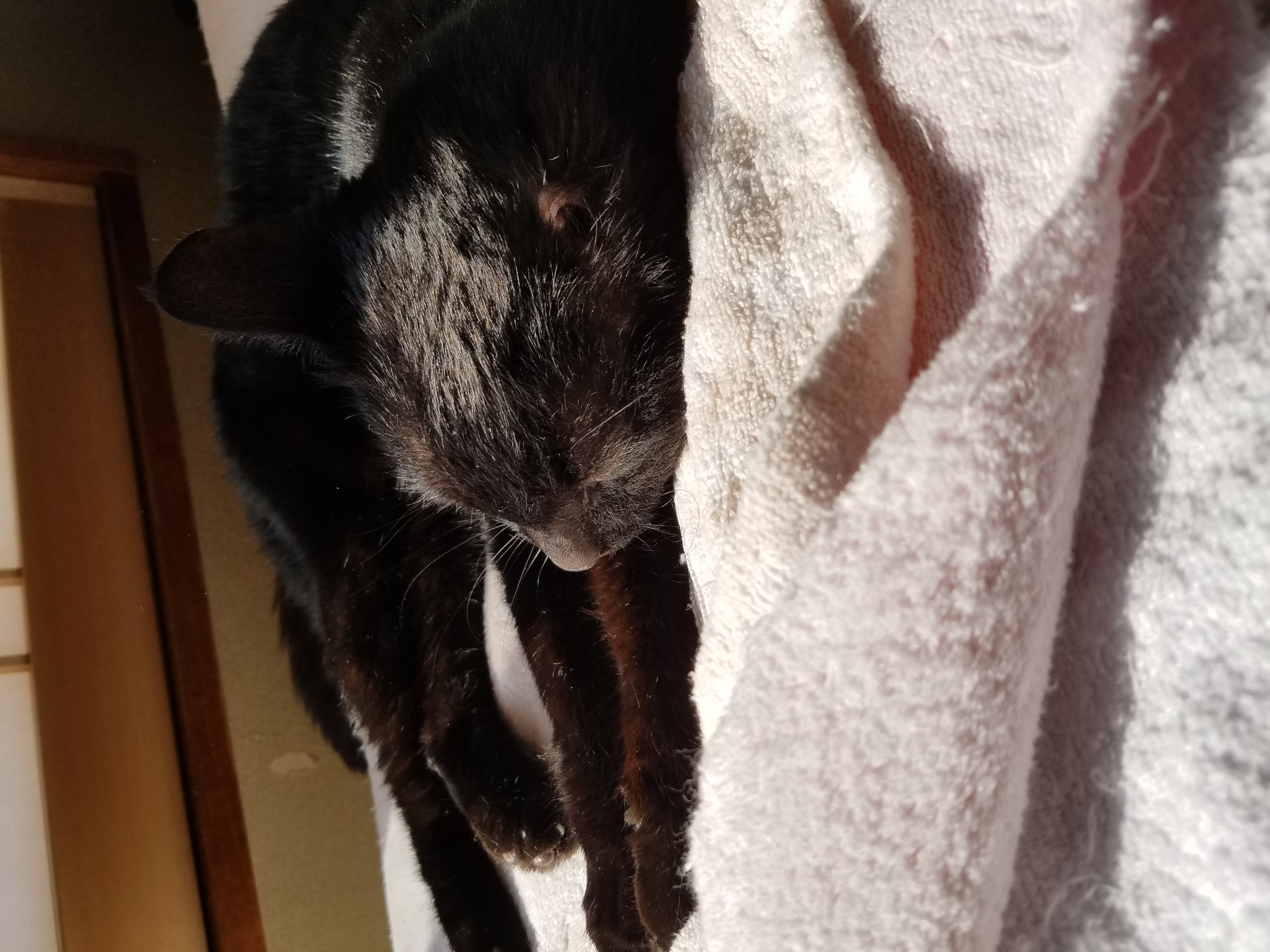 お久しぶり(*´ω`*)