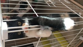 じゅでぃちゃんの2017/3/17 (金) 10:42のブログ