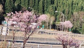 ゆぴまる★ちゃんの2017/5/2 (火) 18:53のブログ