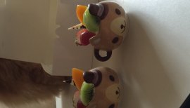 チョコチップちゃんの2017/9/9 (土) 20:03のブログ